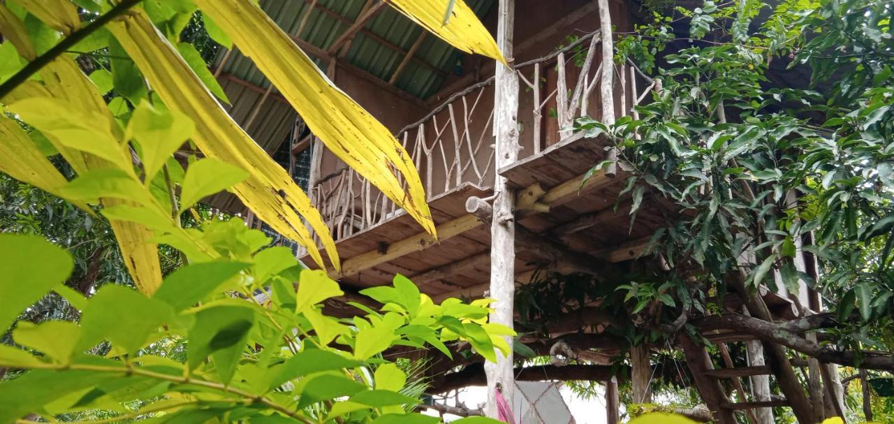 Sigiri Panaromic Tree House Villa Sigiriya Dış mekan fotoğraf